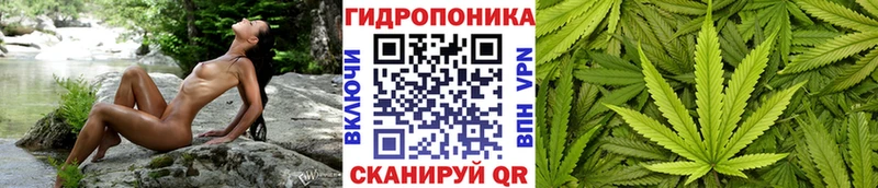 Где найти наркотики Иннополис ГАШИШ  KRAKEN зеркало  Меф мяу мяу  A PVP 