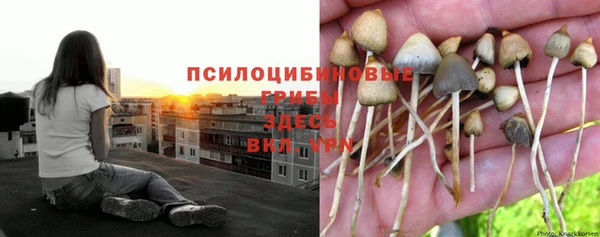метадон Арсеньев